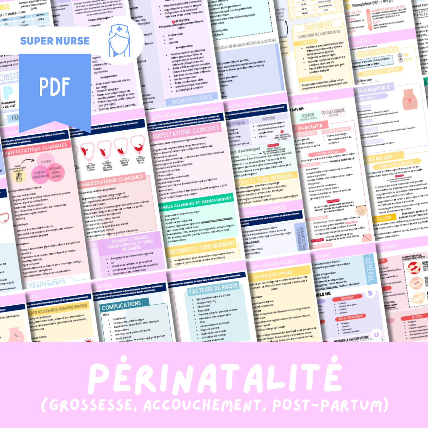 PDF Périnatalité (grossesse, accouchement, post-partum)