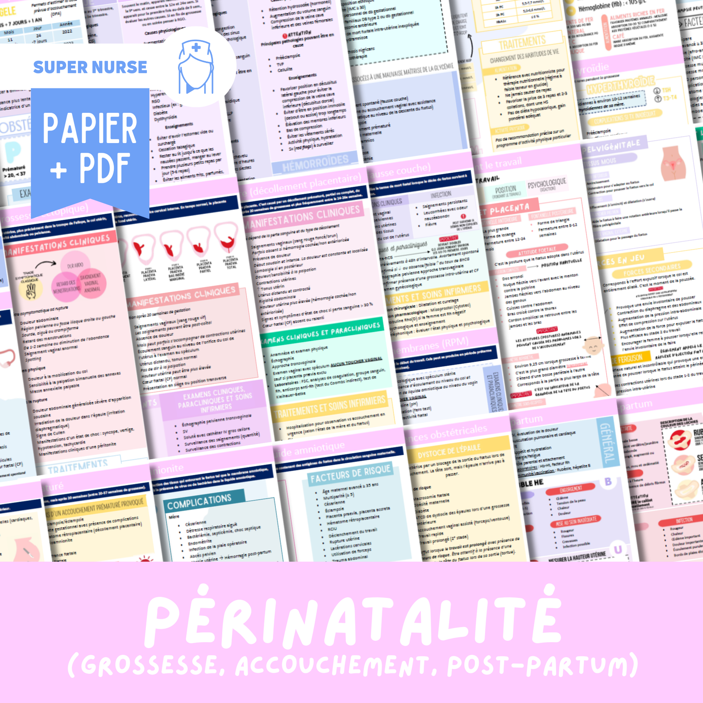 Papier + PDF Périnatalité (grossesse, accouchement, post-partum)