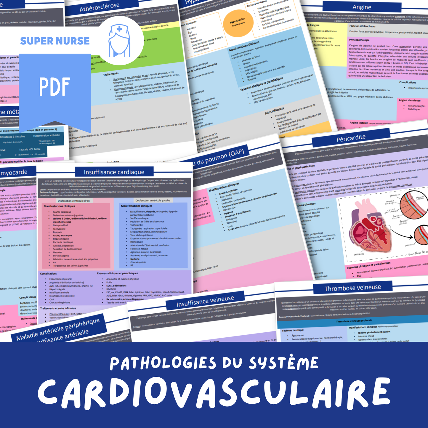 PDF The pathologies of the cardiovascular system