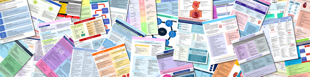 Guide préparatoire et accessoires pour infirmier et infirmière – Super ...