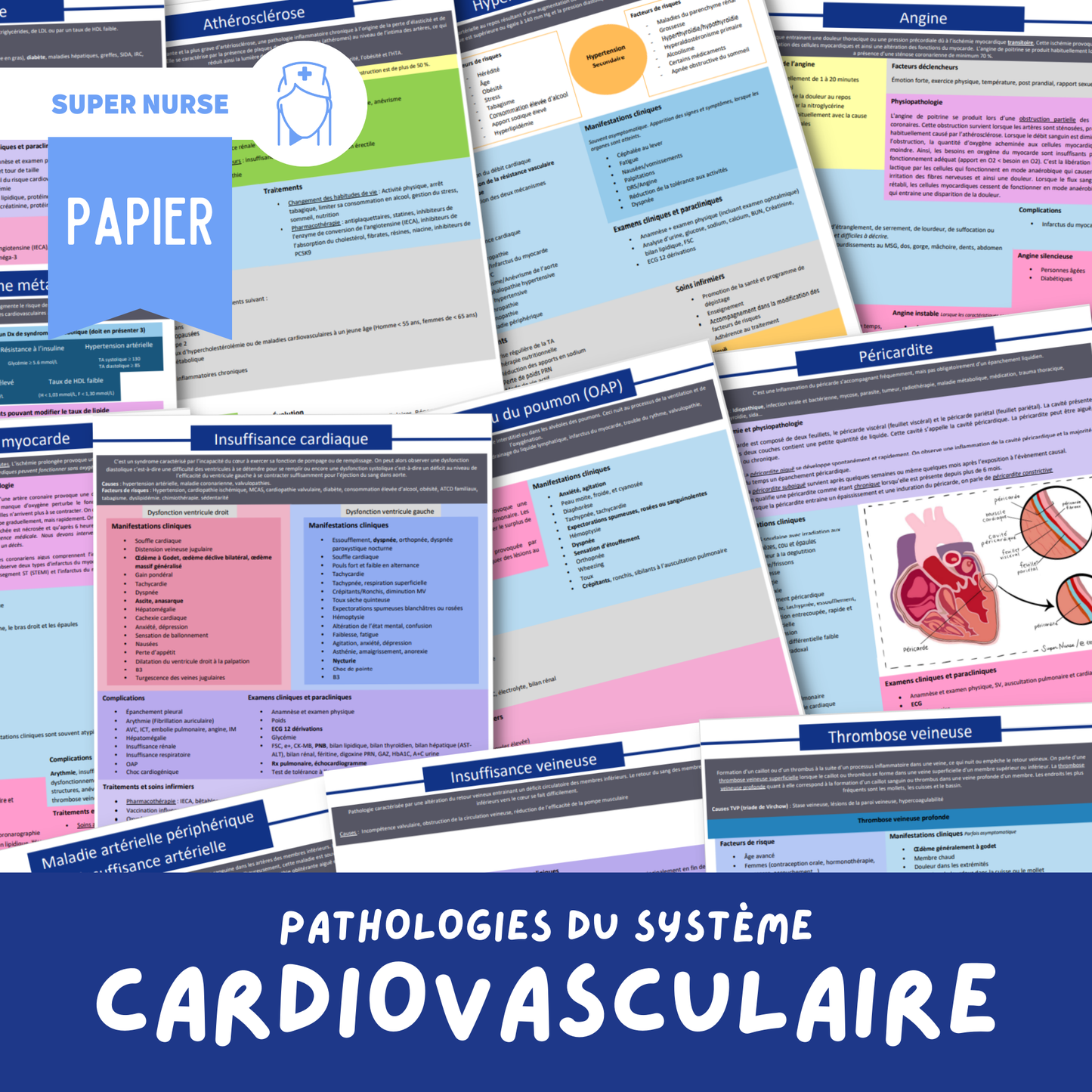 Les pathologies du système cardiovasculaire