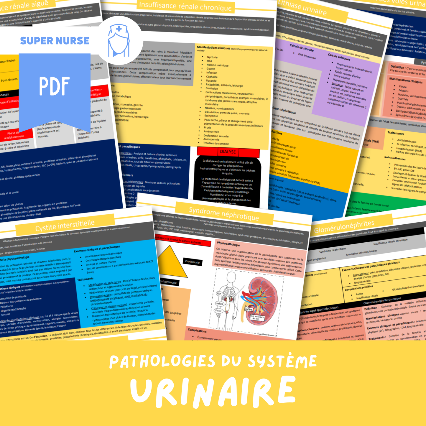 PDF Les pathologies du système urinaire