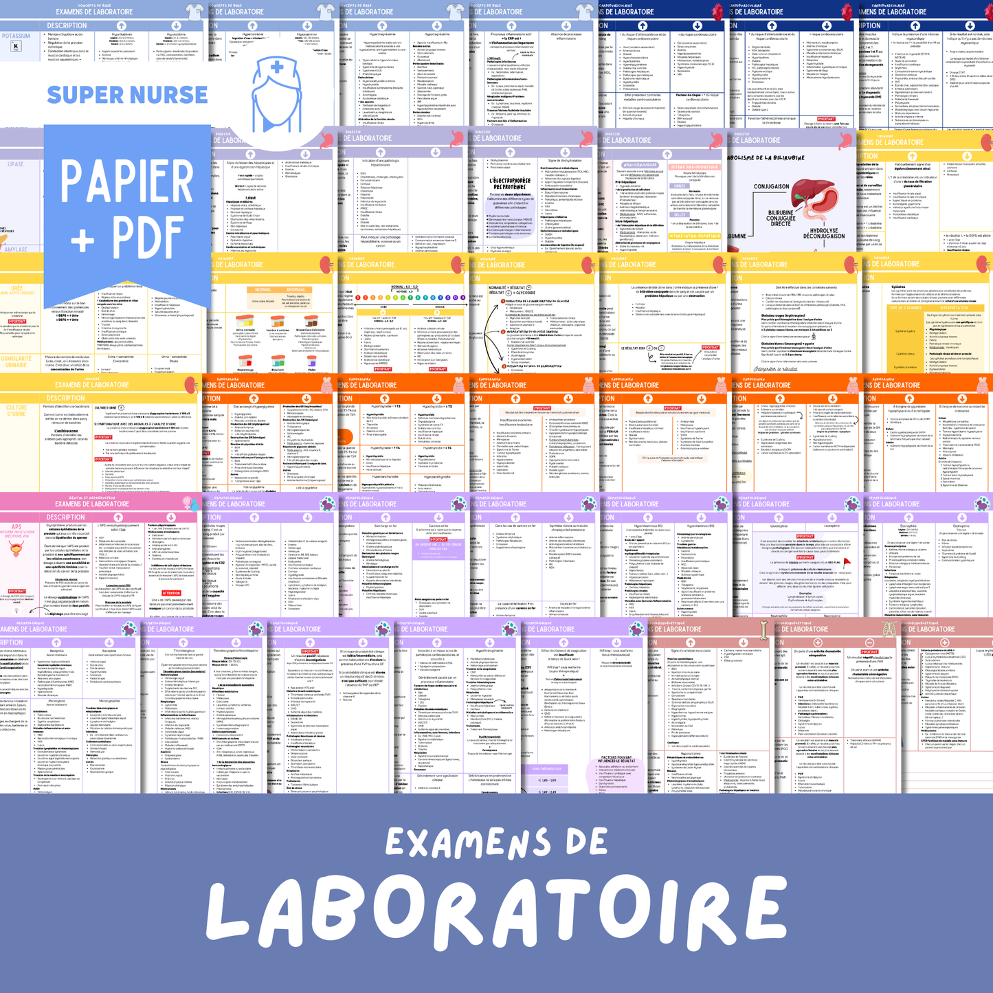Papier + PDF Examens de laboratoire