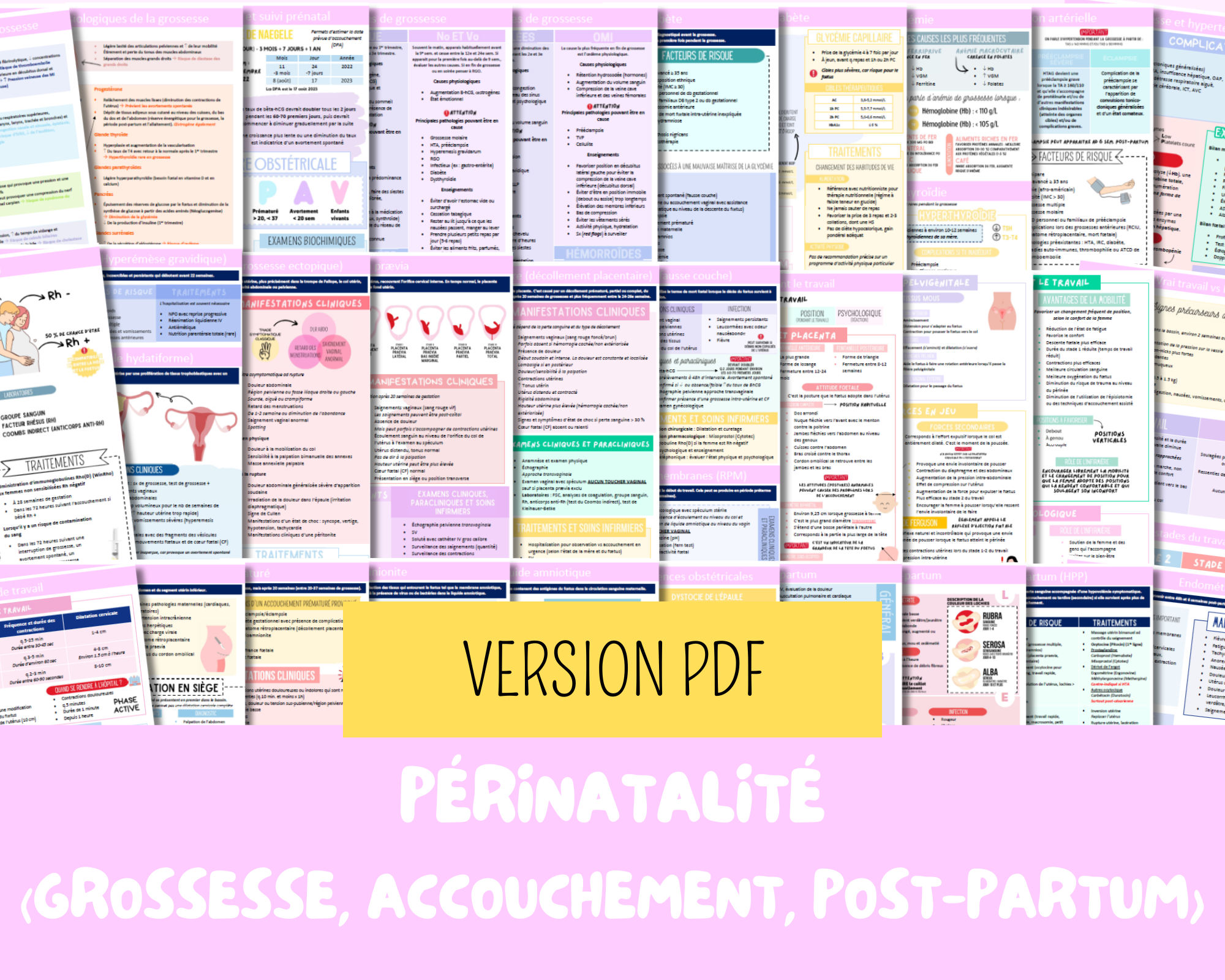 PDF Périnatalité (grossesse, accouchement, post-partum) – Super Nurse