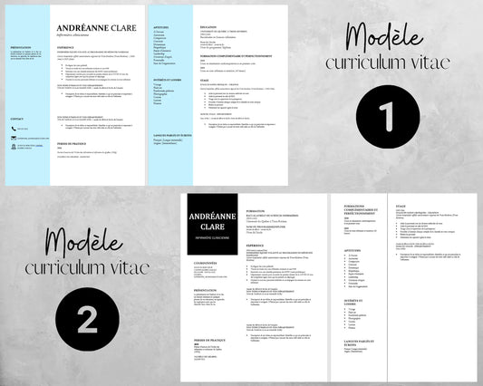 PDF Modèle de CV professionnel et moderne