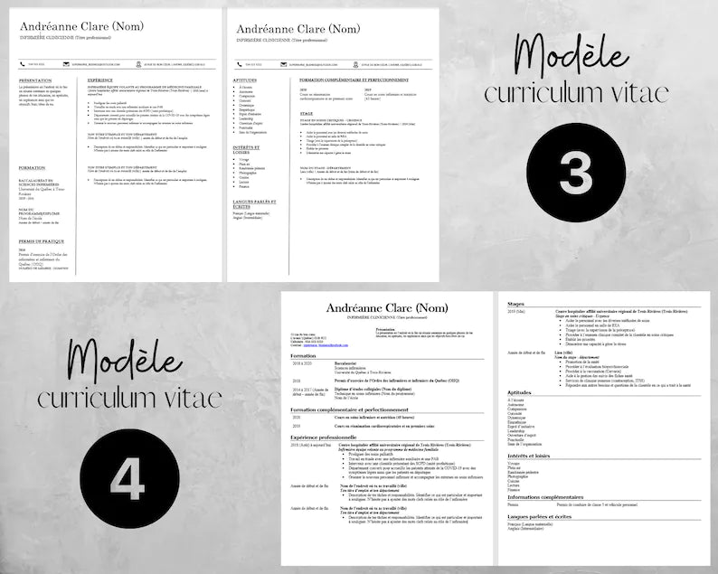 PDF Modèle de CV professionnel et moderne